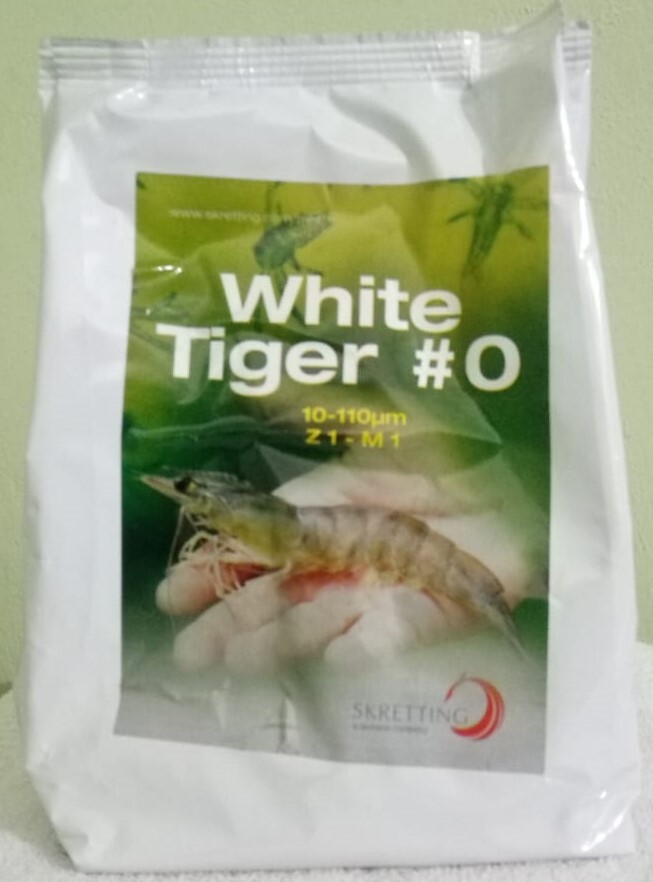 White Tiger