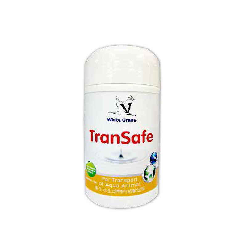 TRANSAFE